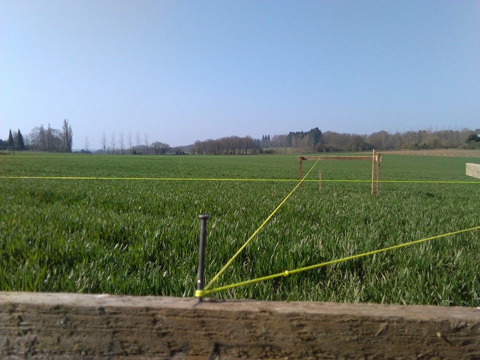 513935927_30517368197876474_4302346065785304557_n