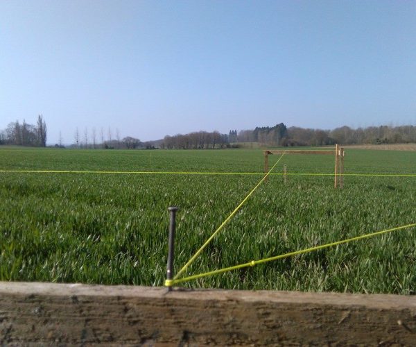 513935927_30517368197876474_4302346065785304557_n